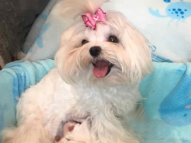 Der I - Wurf ist da!