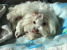 Der J - Wurf ist da!