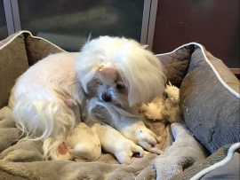 Der L - Wurf ist da!