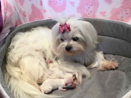 Der N - Wurf ist da!