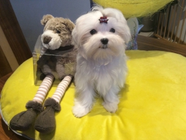 NADJA neu in unserem Haus