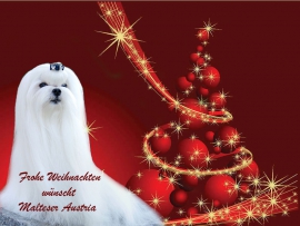 Frohe Weihnachten