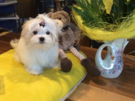 JANA neu in unserem Haus