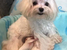 Der I - Wurf ist da!