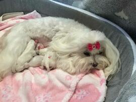 Der M - Wurf ist da!