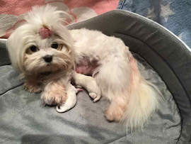 Der Q - Wurf ist da!