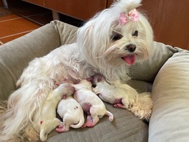 Der R - Wurf ist da!